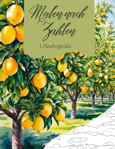 Malen nach Zahlen Malbuch für Erwachsene: ein Ausmalbuch mit 16 kreativen Urlaubsbildern für die perfekte Me-Time, um Stress abzubauen, dich zu ... gegen Stress und für deine Me-Time, Band 2)
