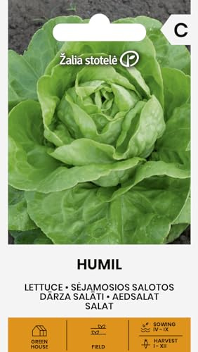 Zalia stotele | Lechuga - HUMIL Semillas de huerto | Lechuga invernal | Cosecha otoño-primavera | Hojas lisas verde claro sabor suave | Para invernadero y exterior | Semillas de lechuga | 1 sobre