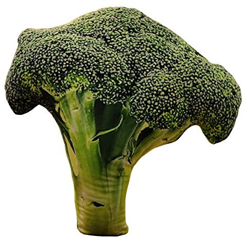 Koala Superstore Dekorative Brokkoli Kissen, 45cm, Sofa Kissen, Weich, Indoor, Böhmisch