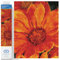 DIAMOND DOTZ 2592676 Original 5D Diamond Painting Set, Mittagsblume, DIY Diamant-Malerei-Kit mit runden Glitzersteinen für Erwachsene und Kinder ab 12 Jahren, Intermediate