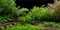 MIRRORANG 180x61cm Aquarium Hintergrund Flussbett & See Wasserpflanze Aquarium Hintergrund Vinyl