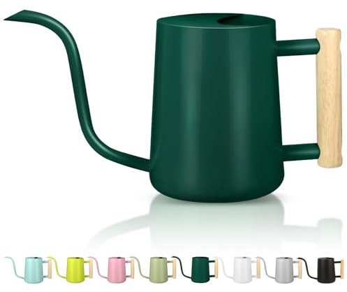 Gießkanne Zimmerpflanzen, 1L Gießkanne Klein Indoor Gießkanne Metall Edelstahl Moderner Dekorativer Giesskanne mit Langem Auslauf für Haus Pflanze Bonsai Outdoor Garten Blumen (Alpengrün)