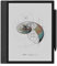 Onyx Boox Note Air 4 C 10.3 E-Ink Kaleido 3 lector de libro electrónico /ebook 64 GB Wi-Fi Gris