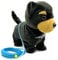 YH YUHUNG Walking and Barking Toy Dog on a Lead Puppy Interactive Dog Toys for Kids(Black)
