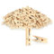 com-four® 360x Mini Pince à Linge en Bois de Lotus, Petite Pince en Bois comme décoration pour Photos et collages (360 pièces - Naturel)