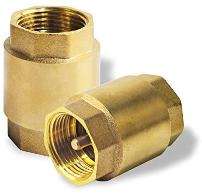 Lot de 2 raccords de tuyau en laiton 3/4 BSP pour empêcher le reflux dans une direction