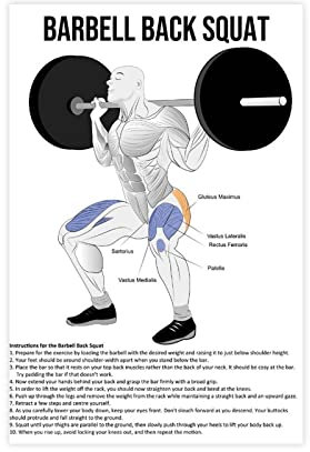 FISH DRAGATE Squat Anatomy Diagramm Leinwand Poster Wandkunst Dekor Druck Bild Gemälde für Wohnzimmer Schlafzimmer Dekoration ungerahmt 40 x 60 cm