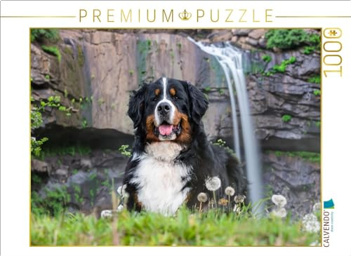 CALVENDO Puzzle EIN Plätzchen im Schatten | 1000 Teile Lege-Größe 64 x 48 cm Foto-Puzzle für glückliche Stunden