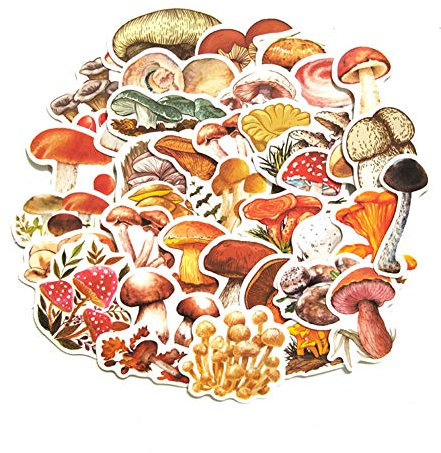 HEELPPO Aufkleber Auto Auto Aufkleber Sticker Aufkleber Sticker Bomb Vsco Sticker Motorrad Sticker Skateboard Sticker Moped Sticker Sticker Pack Sticker Laptop Kofferaufkleber Mushroom