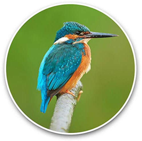 Awesome Vinyl-Aufkleber (Set mit 2 Stück) 7,5 cm – Eisvogel Blau Kleiner Vogel Lustige Aufkleber für Laptops, Tablets, Gepäck, Scrapbooking, Kühlschrank #45471
