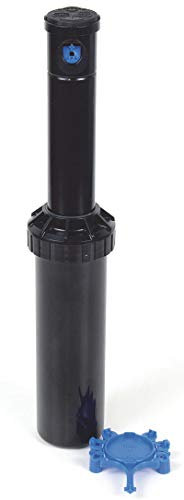 Rain Bird, Aspersor emergente Rainbird Tipo 3504 PC, 10cm (5 piezas)