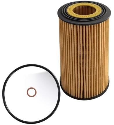 Ölfilter Ölfilter passend für BMW 11427510717 11421745390 11421745391 11427510716 E38 E39 X5 E53 Dichtung Filtereinsatz