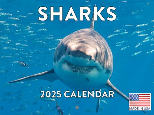 Haifisch-Kalender 2025, Hai-Geschenke, Haie, monatlicher Wandkalender, 12 Monate, hergestellt in den USA