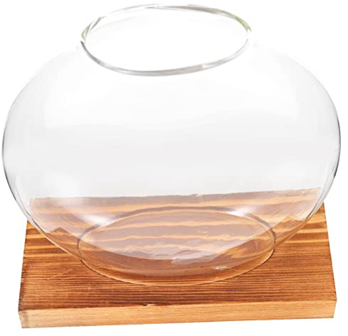 Mikikit Vase Verre pour Plantes Bouteille Hydroponique Décoration De Bureau Terrarium pour Plantes Hydroponiques