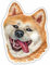 Samunshi® Akita Inu Aufkleber Car Decal Sticker für Mofa Fahrrad Roller oder Auto Sticker Fahrrad Mtb Mountainbike Rennrad Hund Dog Dogo 30cm Akita Inu