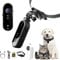 Builrand Pet Camera Collar with 32GB SD Card HD 1080P Wireless Cat Collar Camera Dog Collar Camera USB Rechargeable Adjustable Mini Action Camera for Pets Dogs Cats Gift Indoor Outdoor Video Records