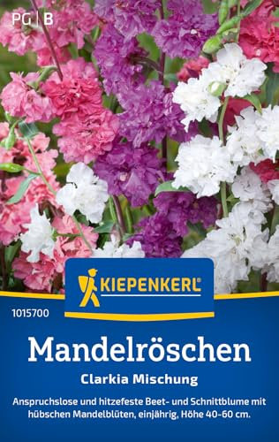 Kiepenkerl Mandelröschensamen Clarkia Mischung 1015700 - Blumensamen Mischung für Beet und Schnittblumen mit Inhalt für 150 Pflanzen - Blumenwiese, Saatgut
