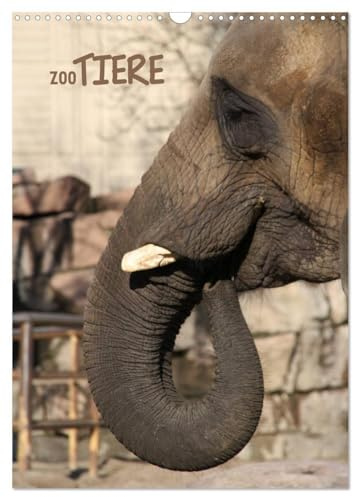Zootiere (Wandkalender 2026 DIN A3 hoch), CALVENDO Monatskalender: Zootiere - von Vogel bis Säugetier (CALVENDO Tiere)