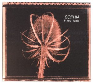 Flowershop (Cargo Records)