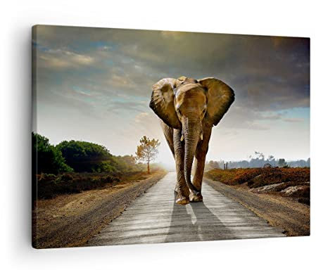 Bilder auf Leinwand Elefant Straße Landschaft Leinwandbild 70x50cm Wandbilder Dekoration Wohnzimmer Schlafzimmer Küche Deko Klein Wanddeko Bild Wand Kunstdruck Art Wall Decor Canvas AA70x50-0214