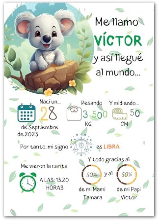 Natalicio Personalizado, Cuadro Nacimiento Bebe Personalizado, Laminas Infantiles, Laminas para Cuadros Infantiles Personalizados, Regalos Bebe Personalizados, Cuadro Natalicio Tamaño 30x42cm (Koala)