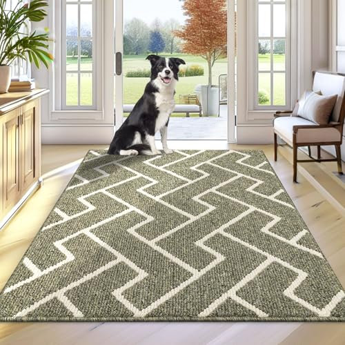 Biscpro Schmutzfangmatte 80 x 100, Rutschfestigkeit Fußmatte,Maschine gewaschen Türmatte für Hund, Außen Innen Garten,Teppich,küchenteppich,Haustür