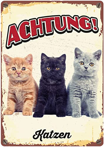 Plenty Gifts Metallschild Vintage Achtung DREI Katzen