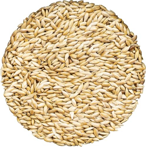 Unida Alpiste Canary Seed | 100% Pure, Natural & Non-GMO Bird Food for Canaries, Finches, Budgies & Parakeets | Double Cleaned Bird Seed, 5 lbs