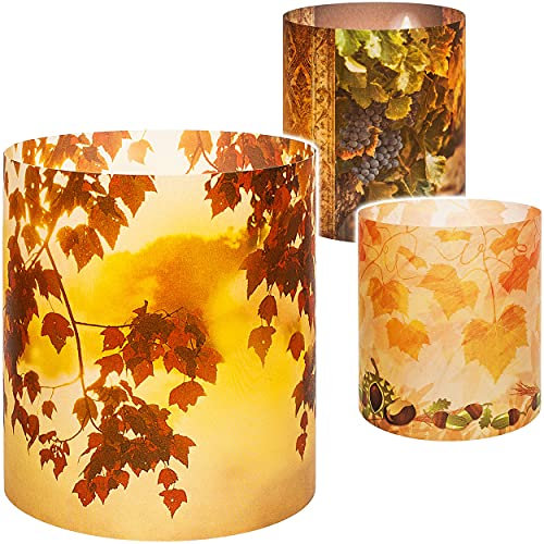 alles-meine.de GmbH 15 Stück - kleine Tischlichter Motiv frei wählbar Bunte Blätter, Kerzen & Wein - Herbst 10 cm - Licht - für Teelichter/Batterie LED Lichter & Kerzen -..