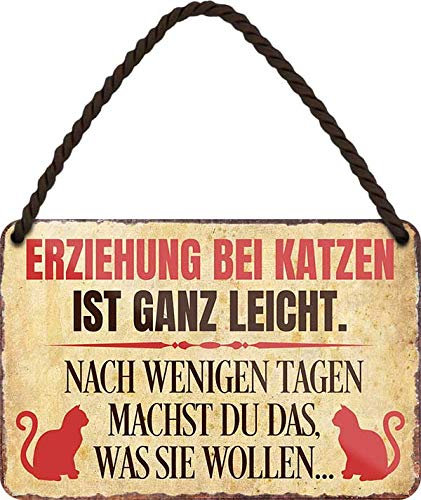 Blechschilder Lustiger Spruch “ERZIEHUNG BEI Katzen IST GANZ LEICHT .“ Deko Hängeschild Türschild Metallschild Eingang Hauseingang Schild Geschenkidee für alle Katzenbesitzer oder Katzenfans 18x12 cm