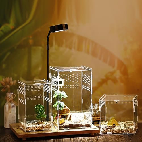 TEMU-SC Acryl Reptile Terrarium Box, Reptile Food Box, Portable Habitat for Reptiles and Amphibians, Suitable for Spiders, Lizards, Frogs, Scorpions, Barbecues, Geckos(12 * 12 * 20cm)