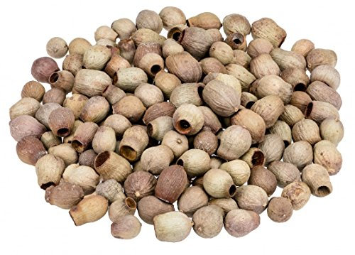 NaDeco Eukalyptus calophyla, Größe ca. 2-5 cm, verpackt mit 0,5 kg | Eukalyptus Glocken | Naturdeko | Honkynut | Eukalyptusfrüchte | Deko Zapfen | Weihnachtsdekoration | Adventsdekoration