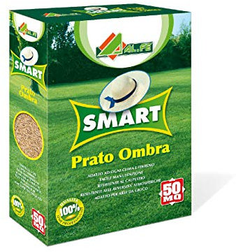 SEMENTI PER PRATO OMBRA 1 KG. SMART