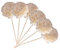 Warmhm 6st Rattan-trockenblumen Aromaflascheneinsätze Sticks Raumdiffusor-Stick Öl-duftstäbchen Nachfüllungen Für Duftdiffusorstäbchen Ölrohrdiffusor Kolben Weiß Pflanze Rattanstange