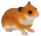Bullyland 64610 - Spielfigur Goldhamster, ca. 5 cm große Tierfigur, detailgetreu, PVC-frei, ideal als kleines Geschenk für Kinder ab 3 Jahren