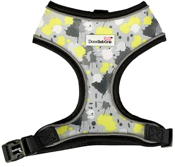Doodlebone Airmesh-Geschirr, Neon-Farbspritzer, 1