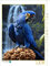 CALVENDO Puzzle Hyazinth-Ara vor einem tropischen Wasserfall | 1000 Teile Lege-Größe 48 x 64 cm Foto-Puzzle für glückliche Stunden