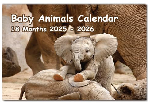 A4 Baby Animals Calendar 2026 12 Month Wall Calendar 2025 UK 2026 Calendar Month to View A3 When Open Papa Prints