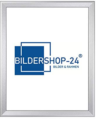 Bilderrahmen Prio 60x120cm Alu geschliffen(Dekor) ANTIREFLEX