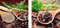 Eurographics Exquisite Pepper Glasbild, Glas, Braun, 40 x 20 x 1.7 cm, 2-Einheiten