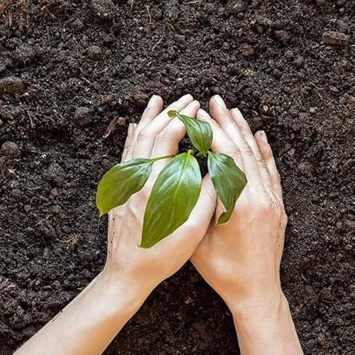 DECOALIVE Sustrato para Plantas Universal Formato 10 Litros de Turba Natural con Fertilizantes