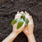 DECOALIVE Sustrato para Plantas Universal Formato 10 Litros de Turba Natural con Fertilizantes