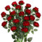 JUSTOYOU 20 PCS Künstliche Burgunder Rose, Seide Blumen mit Stiel, Realistische Blume für Home Table Office Party Hochzeit Garten Arrangements (Rotwein Rosen)