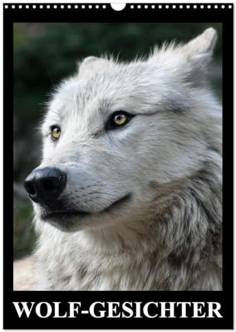 Wolf-Gesichter (Wandkalender 2026 DIN A3 hoch), CALVENDO Monatskalender: Wölfe sind zum heulen schön! (CALVENDO Tiere)