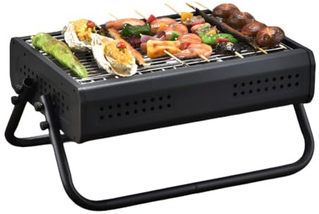 AIZYR Charcoal Barbecue Grill Portable Charcoal Grill, Stainless Steel Mini Grill Table Top Grill for Home Camping Hiking Picnics,Black