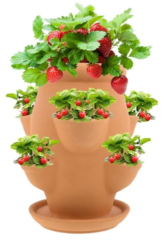 Pot à fraises en terre cuite – Pot de fleurs décoratif en argile unique | Pot de fleurs multi-trous, accessoire de jardinage artistique élégant pour espaces intérieurs, fleurs