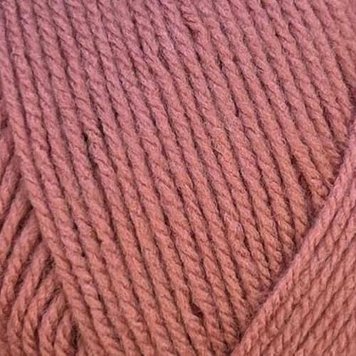 Stylecraft Special DK 100g (Cinder Rose 2171)