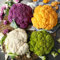 Semillas Coliflor Plantas Verduras Viejas Coliflor Semillas Frescas Verduras Plantas De BalcóN Plantas Perennes Resistentes Plantas De Coliflor Semillas De Hortalizas Regalos De JardíN 300 Semillas