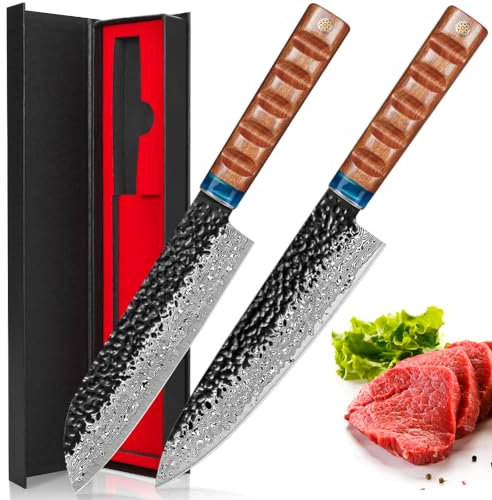 kyushublade Damast Kochmesser set, Küchenmesser aus 67 Schichten Damaststahl Messer mit Ergonomischer Griff für Haushalt,Restaurant (2-teilig.Küchenmesser)