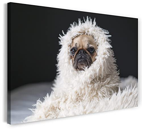 Leinwandbild (30x20cm) Süßer Mops in Decke Tier-Bilder süßes Hunde-Baby Hundebabies, Leinwand auf Keilrahmen gespannt und fertig zum Aufhängen, hochwertiger Kunstdruck aus deutscher Produktion